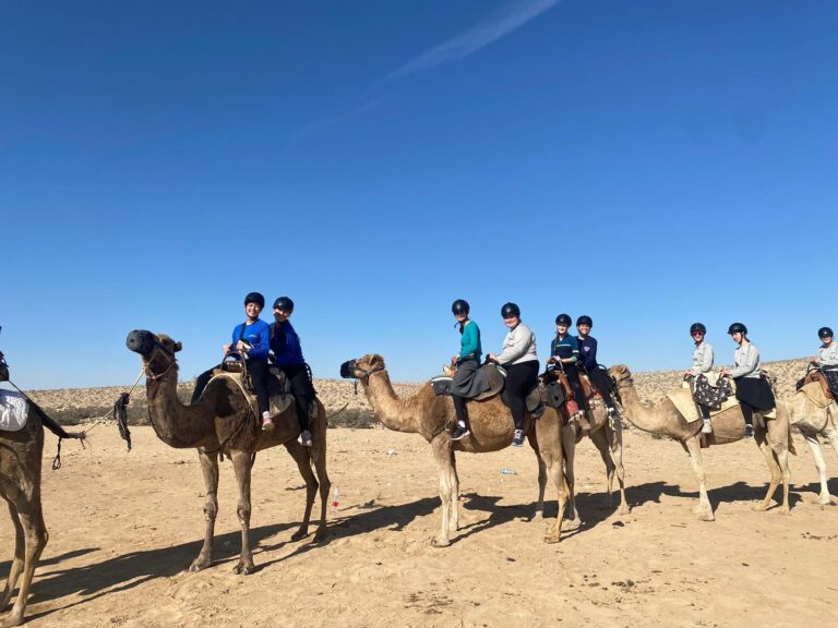 Group of riders on camels in desert